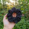 Polka Dots Hair Scrunchies1